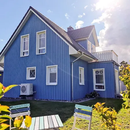 Ginger Am Bodden Eingezaeunt & Hundefreundlich